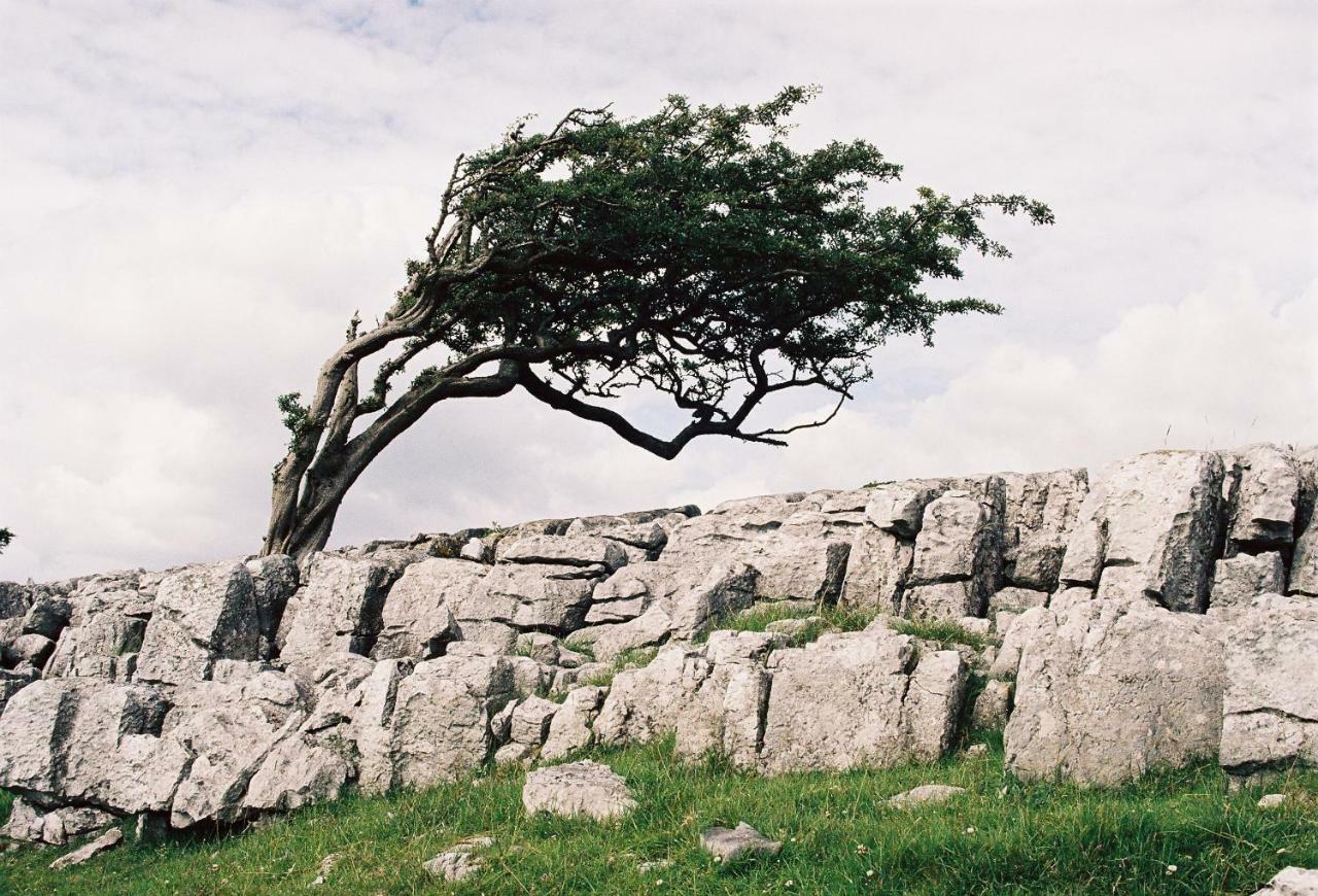 Dugdales Cottage Settle Εξωτερικό φωτογραφία